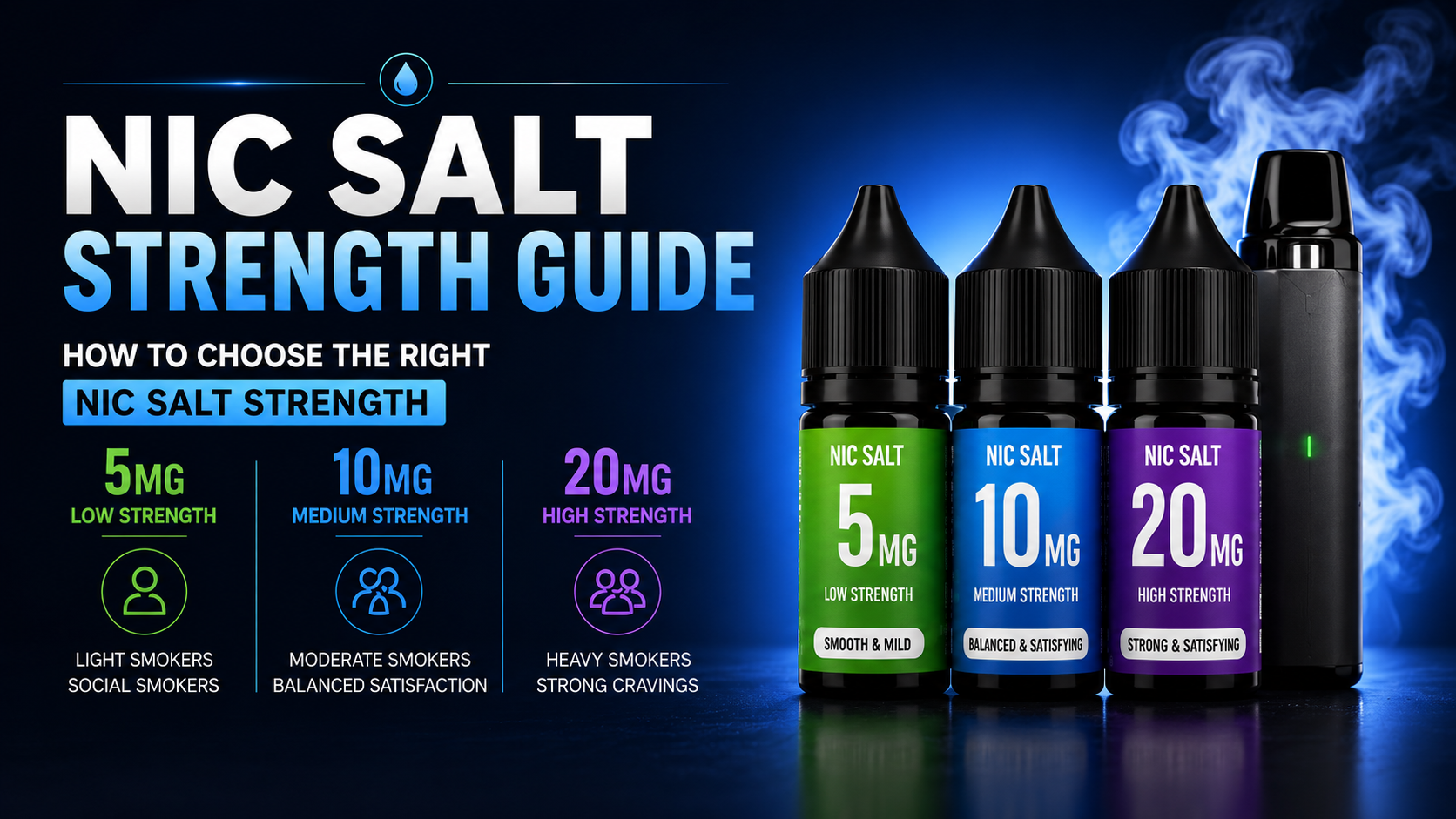 guide nic salt