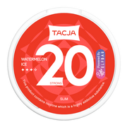 elf bar tacja watermelon ice snus